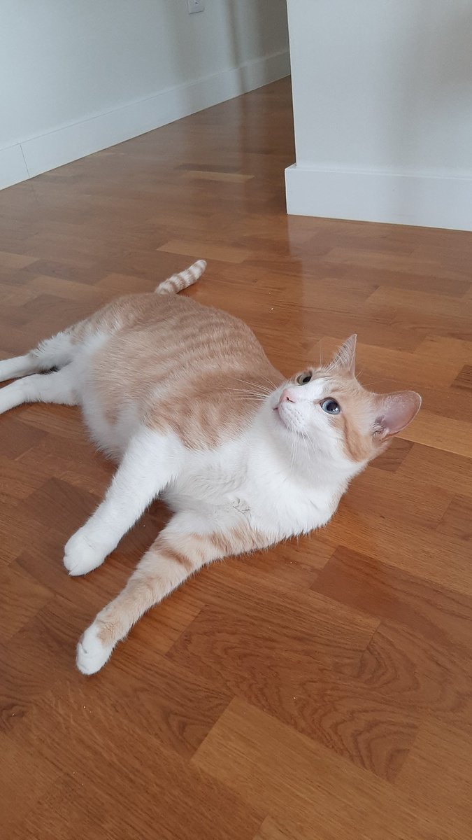 PAULA GLEZ BERODIA tweet media