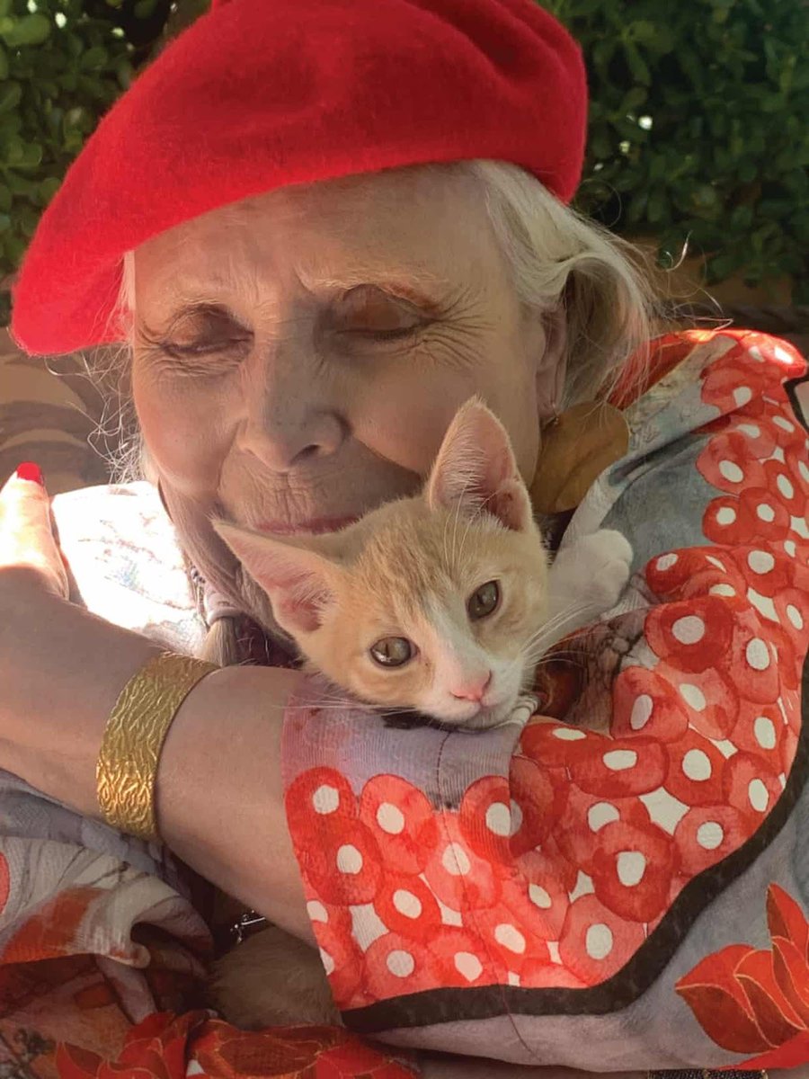 jonimitchell's tweet photo. Just Joni and her cats 💙 Happy International Cat Day!

Photos by Norman Seeff and Tom Gundelfinger O’Neal https://t.co/R1xYl59HfY