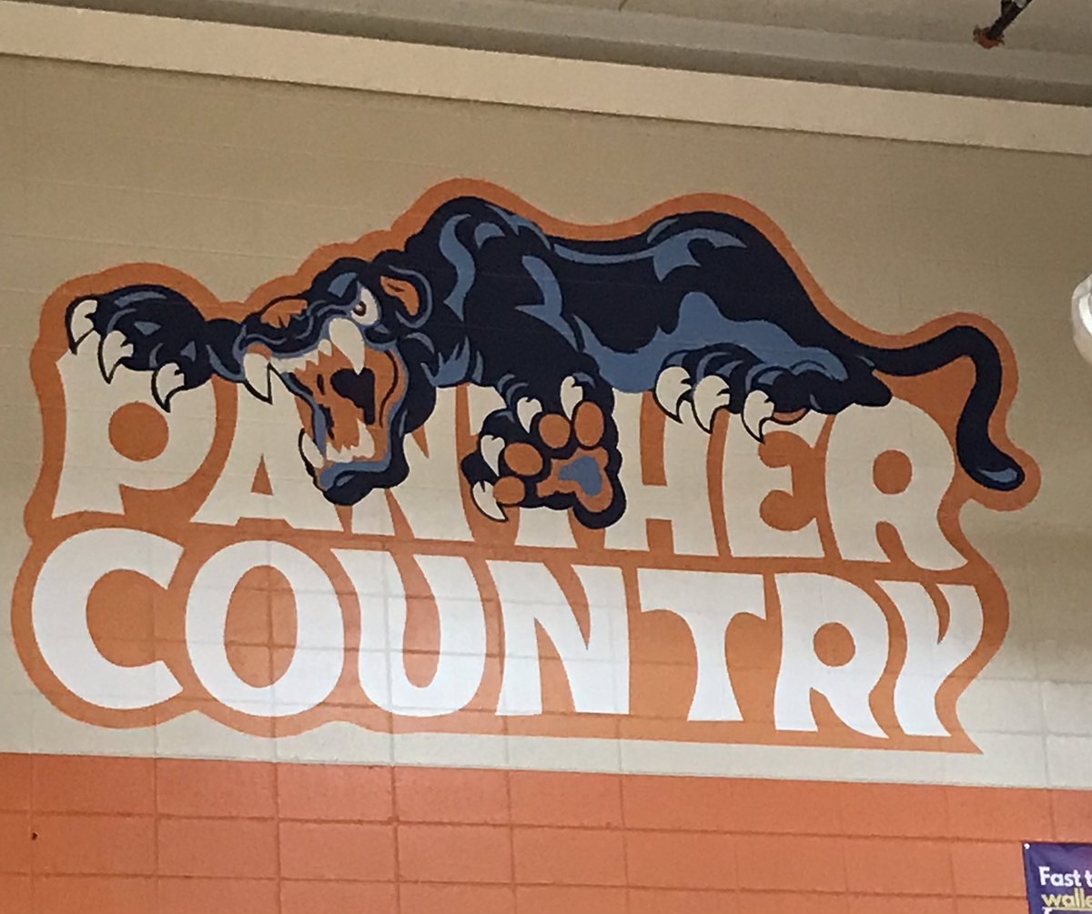 For all our nostalgic Panther Alum , the old Main gym graphic is back in Panther Country !