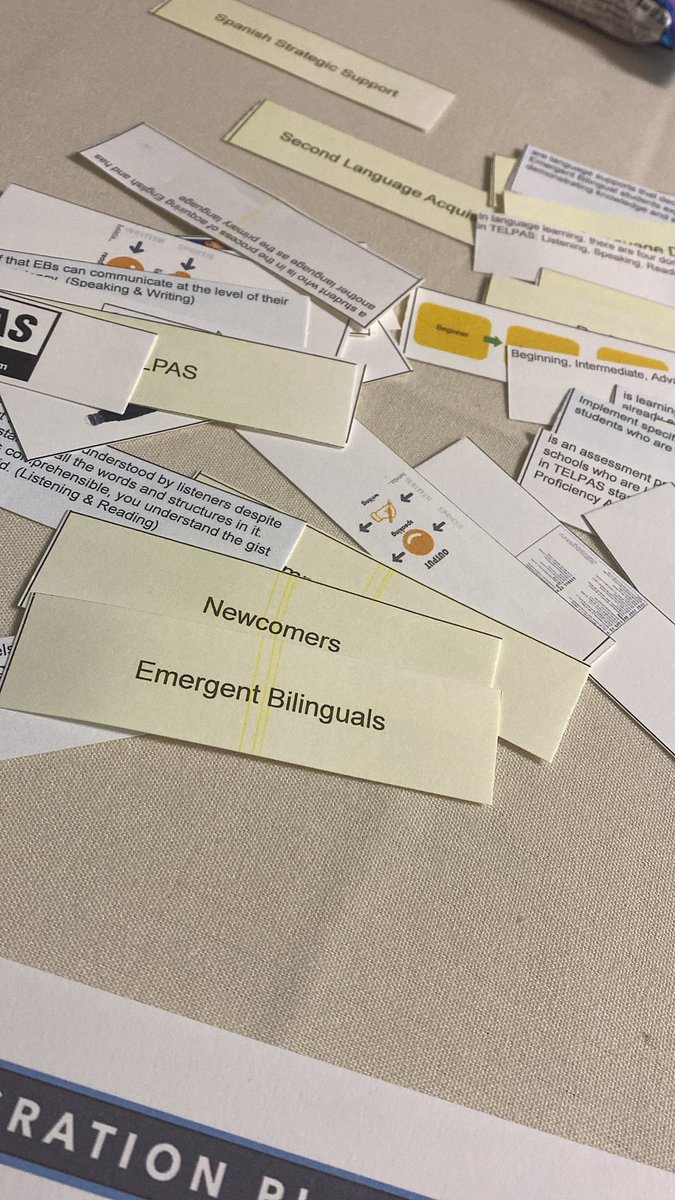 Averi J. Steen tweet media