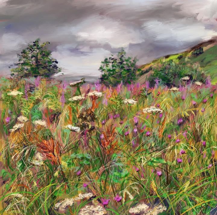 Just finished View to Sugar Loaf, Carmarthenshire. 

#painting #landscape #art #wildflowermeadow #mountains #wales