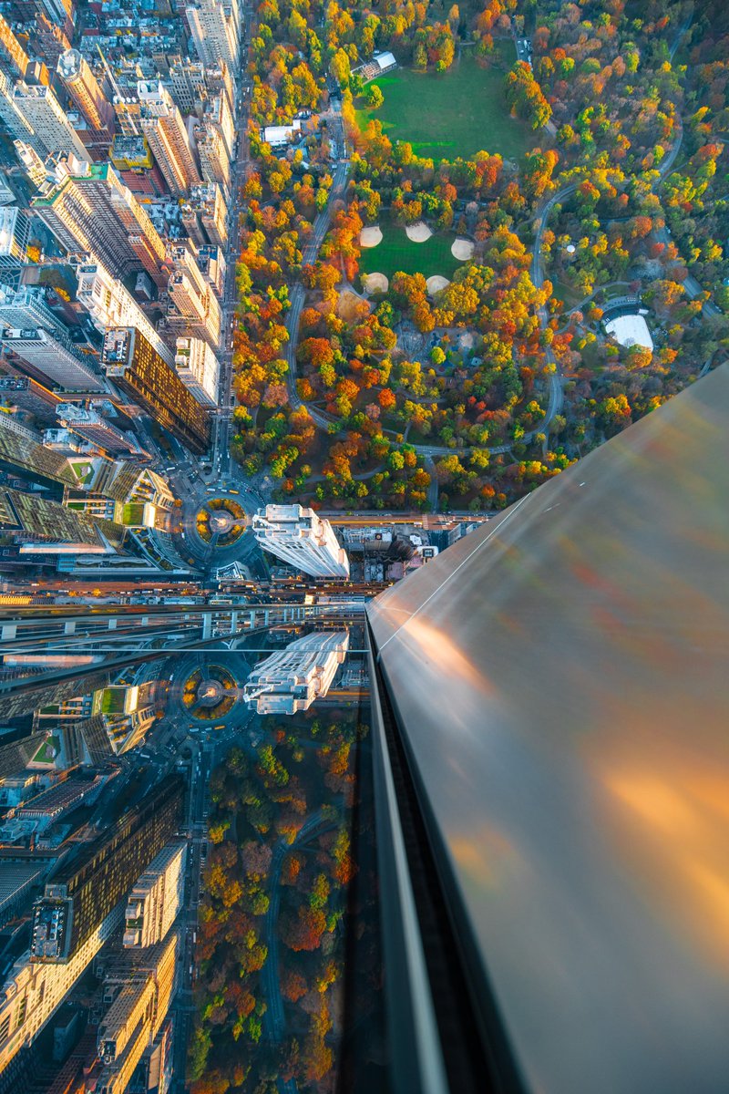 Fall in Central Park