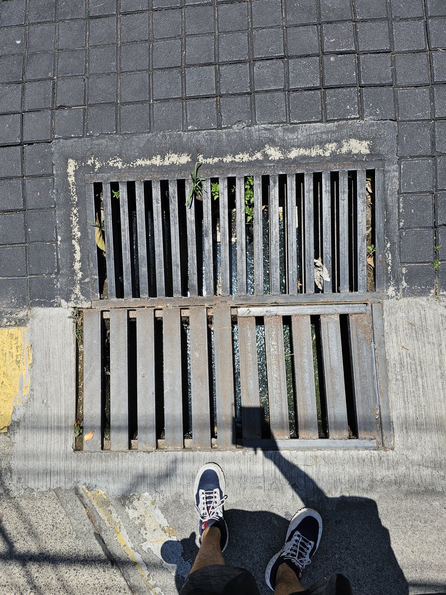 PACOTRONGDL's tweet photo. Hola @siapagdl pueden venir a desazolvar esta boca de tormenta sirve de todo menos para captar agua se mega inunda cuando llueve calle Salvador madariaga y David H lawrence #zapopan @ZapopanGob #traficozmg https://t.co/1NFKGamu2S