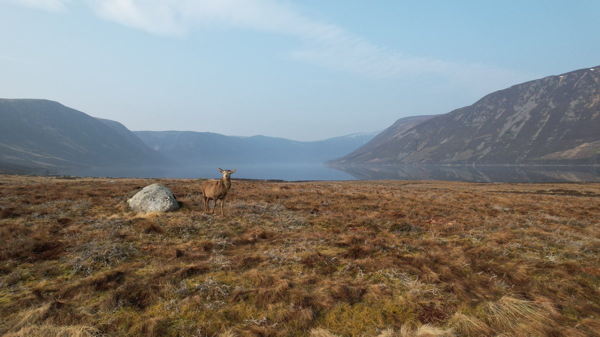 reizkultur's tweet photo. If you're visiting #Scotland for @CyclingWorlds here's inspiration to extend your stay or come back soon. 

September is the best month for #bikepacking &amp; #gravel riding. 

'Bikepacking Scotland' &amp; 'Great British Gravel Rides' are available to order here: https://t.co/I8DBbk4blt https://t.co/8UlqTfPnaD