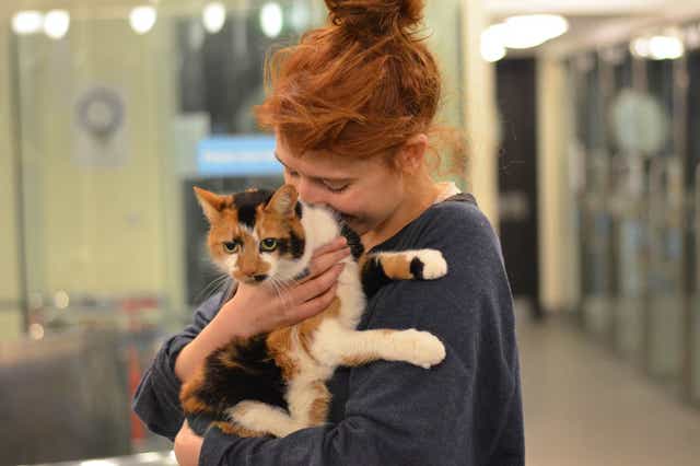 welcharchive's tweet photo. florence and her cat in 2014 https://t.co/D01mXDK9hP