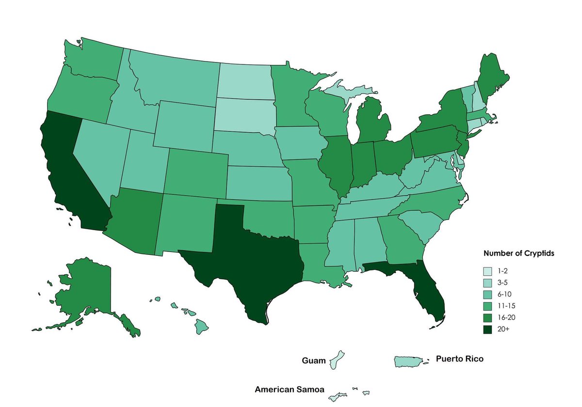 Lacey Bordeaux - Parody tweet media