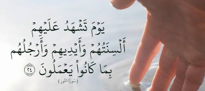 نور 🎶💜 tweet media