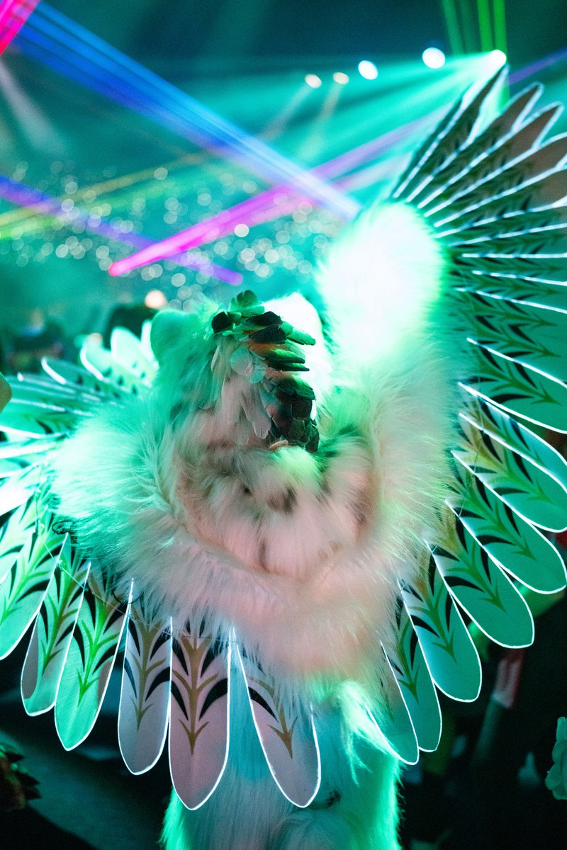 🎈 Another circle around the sun, and what a hecking year its been!

New job, new house, new city, new friends... new fursuit!?

Onward to the next, and making it a good one with yall! 🤍

📷 <a href="/gryphonfluff/">Robert</a>