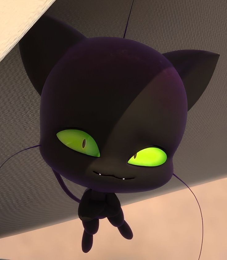 moonbeamagic's tweet photo. happy international cat day to my favorite kittens https://t.co/VHEsjBeuXJ