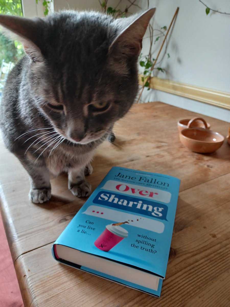 Summer reading with Denzel @janefallon #PromoPets #Oversharing