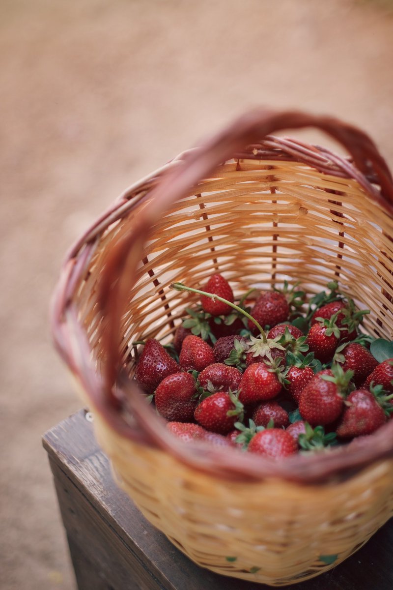 RonjaWeber1's tweet photo. Cake &amp; coffee dates and picking some strawberries 🤤🍰🍓☕️

Hope you all had a good start into this new week! My week started off with lots of working but also had some time to meet up with friends for a good coffee and yummy cake 😋 also went strawberry picking🙌🏼

#happy https://t.co/e1miRis8I8