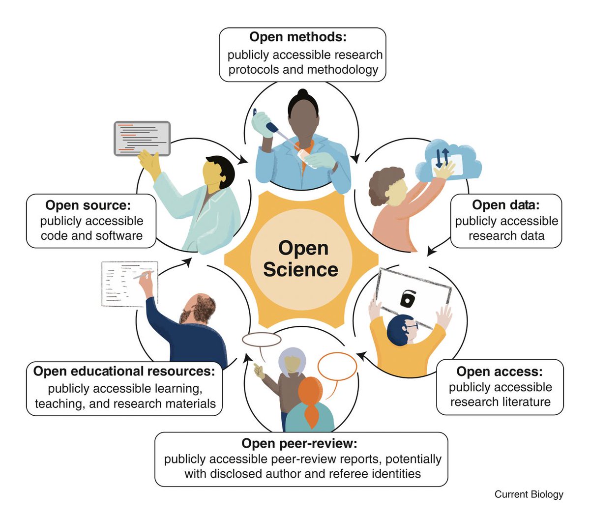You're not really familiar with #OpenScience? Or you're not really sure how to implement it? 🤔

✅ Then our latest paper in <a href="/CurrentBiology/">Current Biology</a> is for you! We provide an introductory guide into Open Science, with #resources to help you on your way! 🎊

👉 tinyurl.com/2m4furh7