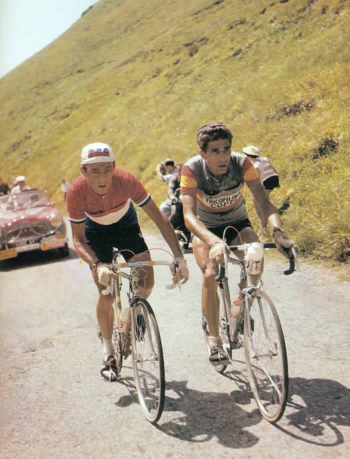 ClasiHistorica's tweet photo. 🇪🇸 Federico M. Bahamontes
🦅 El Águila de Toledo

🇫🇷 Tour
🥇 1959 🥈 1963 🥉 1964
🏔️ Montaña x6 🏁 Etapas x7

🇮🇹 Giro
🏔️ Montaña x1 🏁 Etapas x1

🇪🇸 Vuelta
🥈 1957
🏔️ Montaña x2 🏁 Etapas x3

🚴🏼‍♂️ Vuelta Asturias x2
🚴🏼‍♂️ Clásica Puertos
🚴🏼‍♂️ Subida Arrate x5
🚴🏼‍♂️ Subida Naranco 
🚴🏼‍♂️ Escalada Montjuic
🚴🏼‍♂️ Nacional Ruta
🚴🏼‍♂️ Nacional Montaña

🤯 PRIMER español en ganar el Tour
🤯 ÚNICO ganador de la montaña en las 3 Grandes Vueltas (+Herrera)
🤯 MÁXIMO ganador de la montaña en Grandes Vueltas (+Bartali)

🙏🏼  Hasta siempre LEYENDA