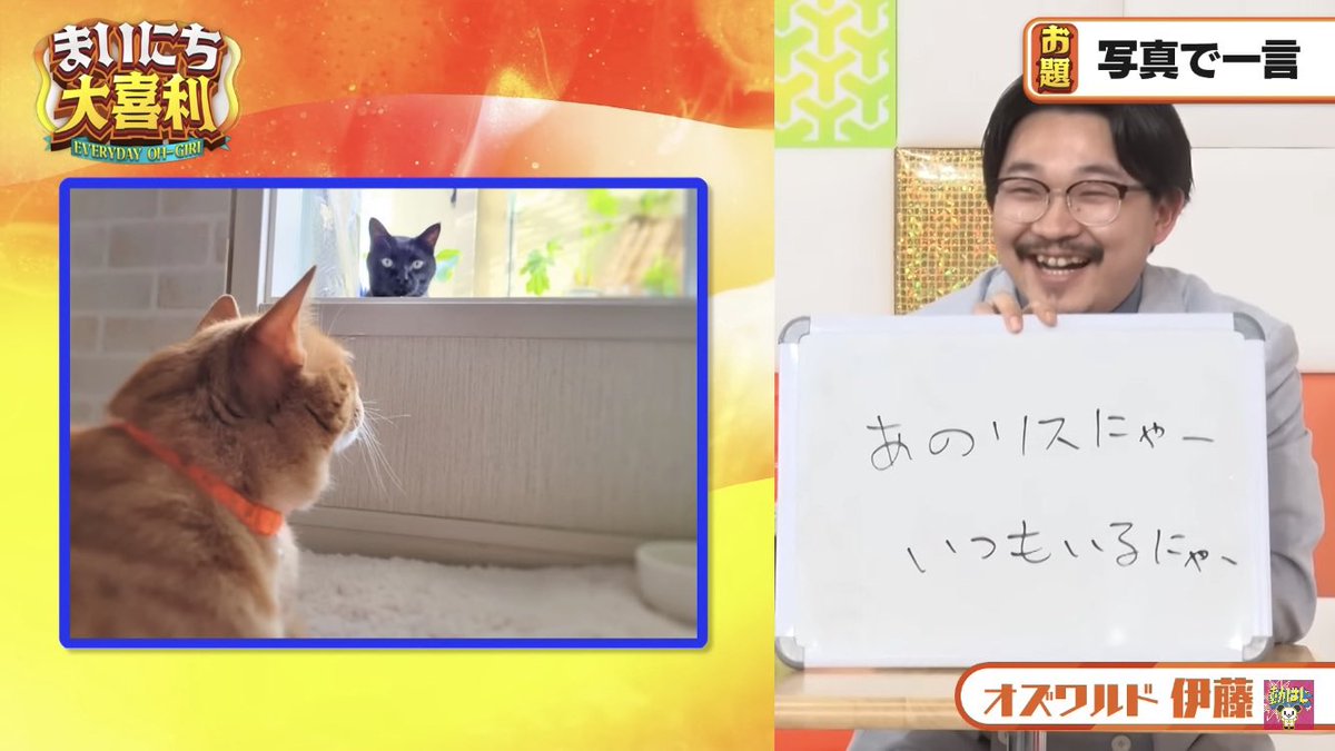 naxu_tw's tweet image. 伊藤さんお誕生日おめでとうございます🎂🚬
今年は冠もCMも増えてひっぱりだこな一年❕
私’s BESTの大喜利回答🐈
と今年の大躍進＆大変化を添えて…
34歳特大ホームラン打ちましょー⚾️Ⓜ️ #O2M (オズトゥーエム)
#オズワルド