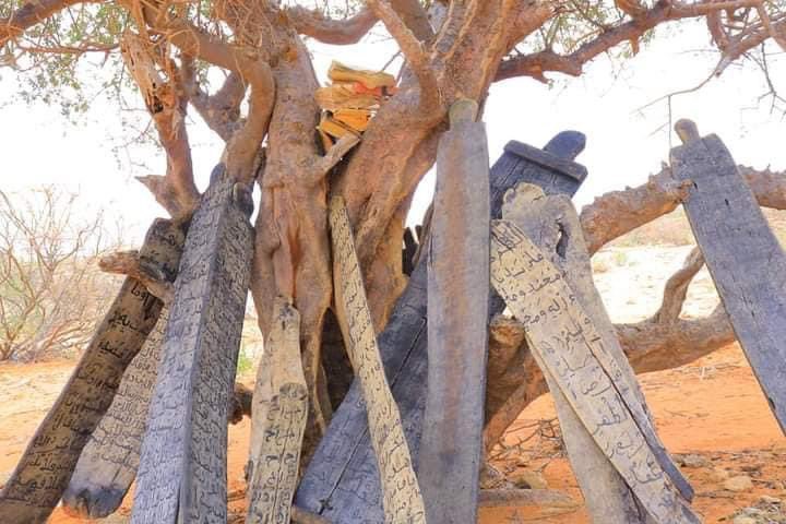 AmbWarsame's tweet photo. @galkacyoonline Not Galgaduud— DDS Ethiopia 🇪🇹 USC Alshabaab Terrorist @AhmedMoFiqi @mahadsalad @HassanSMohamud clan Terrorist cross the border committed atrocity. — dagaan hooraga Galaadi #Doolo  DDS #corrections https://t.co/nJBL1tA77K