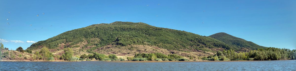 Furrpellier's tweet photo. Sortez vos maillots, les associations Anthro’Sud et Furrpellier vous convient tous au « Plouf’Anthro » !

Au programme de la journée : Baignade, jeux de sociétés, balade au bord du lac et photos.

Voici le lien du pour l’inscription https://t.co/NazFM6IsXN https://t.co/upGTLtxW8a