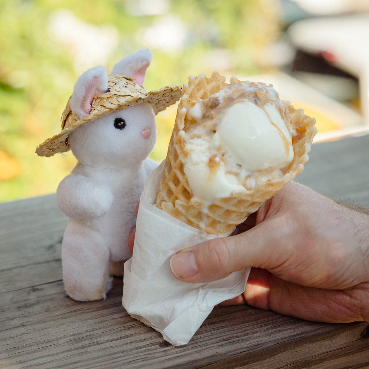 MiaRabbit's tweet photo. Nothing Like Ice Cream the Size of You #MiaRabbit #Chattanooga https://t.co/H7R1xHH1AO https://t.co/8ouXB25xcC