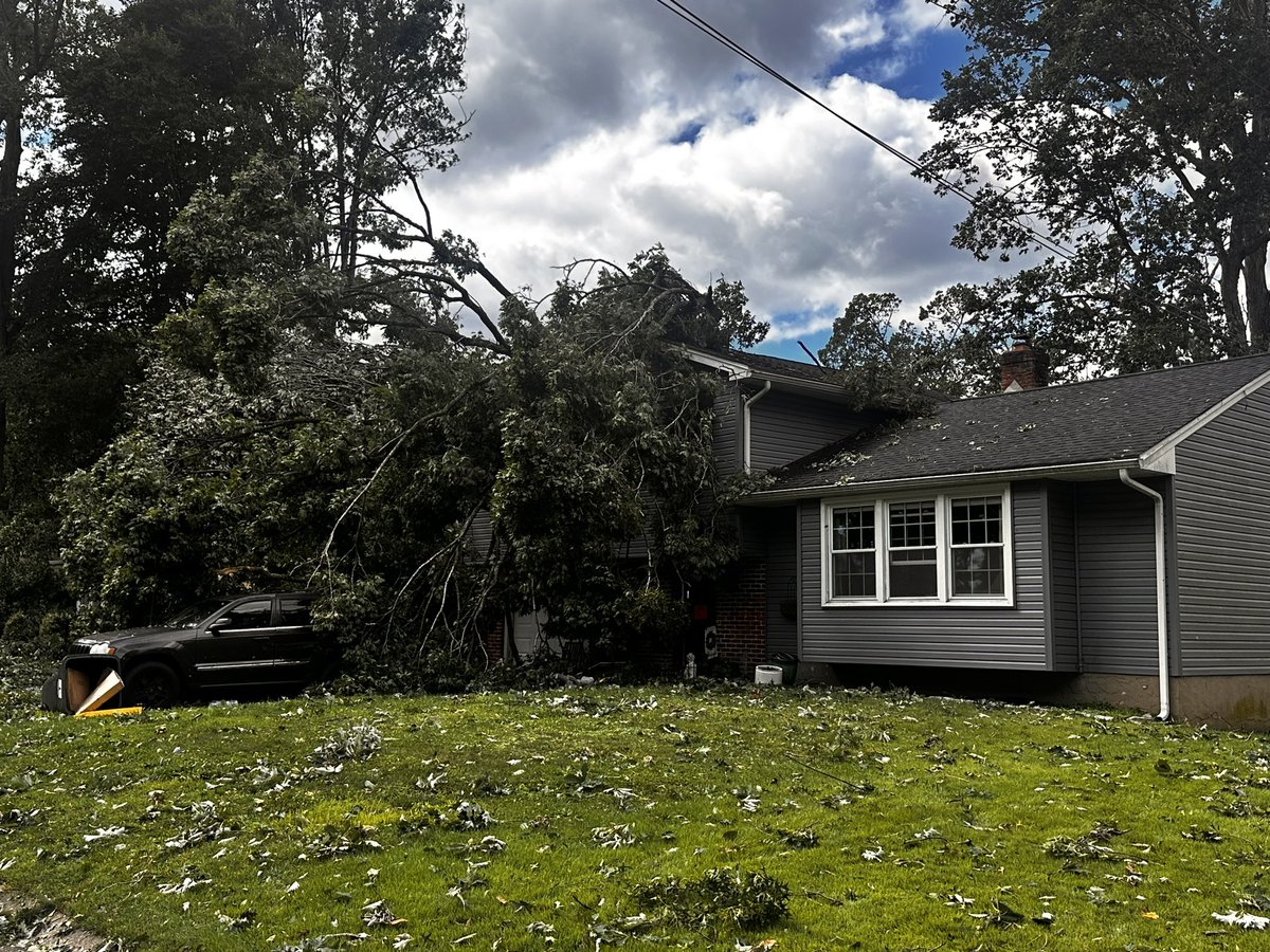 Matt Petrillo tweet media