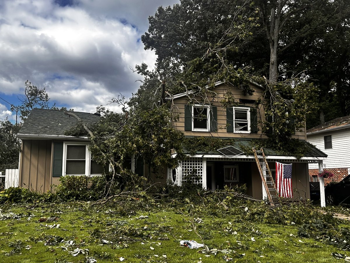 Matt Petrillo tweet media