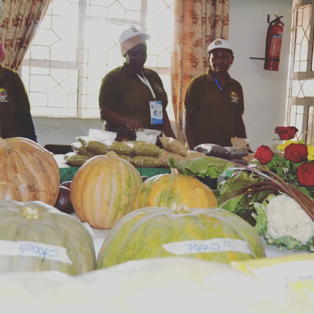 #FarmersDay
Kwa uwakilishi wa Bi. Anjelina Kimario na Bi. Rebeka Mwantende tumehitimisha Maonyesho ya bidhaa za wakulima tulisimama na #Agroecology katika Sikukuu muhimu ya kitambua na kuheshimu kazi inayofanywa ma wakulima wadogo katika kanda ya Kaskazini, Arusha 2023 #nanenane