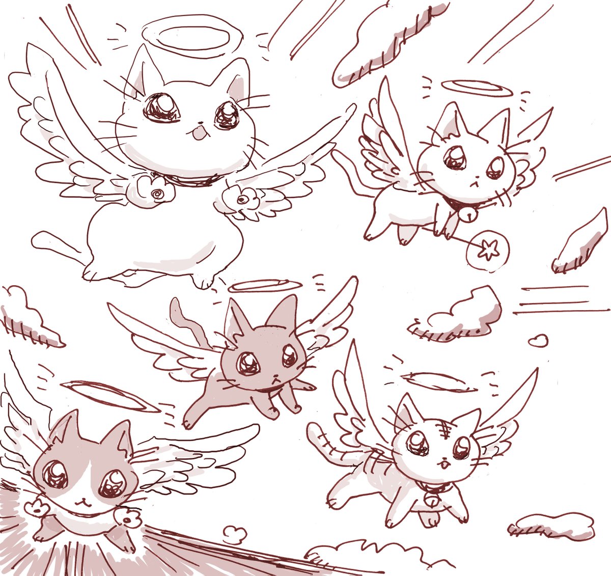 halo no humans wings cat monochrome angel angel wings  illustration images