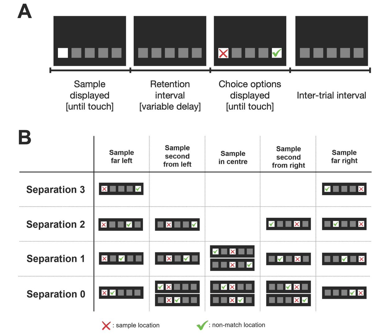SfN Journals (@sfnjournals) on Twitter photo #JNeurosci: Bennett et al <a href="/MonashUni/">Monash University</a> used computational modelling of the trial-unique, delayed non-matching to location (TUNL) touchscreen task data to uncover a novel set of hierarchically ordered cognitive processes underlying mouse behavior on this task
jneurosci.org/lookup/DOI/10.… #JNeurosci: Bennett et al <a href="/MonashUni/">Monash University</a> used computational modelling of the trial-unique, delayed non-matching to location (TUNL) touchscreen task data to uncover a novel set of hierarchically ordered cognitive processes underlying mouse behavior on this task
jneurosci.org/lookup/DOI/10.…