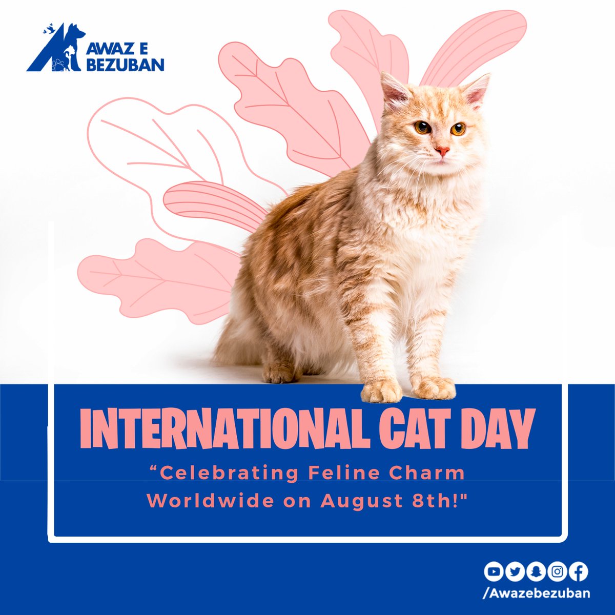 Paws and celebrate! 🐾 Happy International Cat Day to all the fur-tastic felines and their purr-some companions around the globe! Let's give our whiskered friends some extra love today. 😺❤️🌍

#InternationalCatDay #purrfectcompanions #straycat #catlovers #CatsOfTwitter #CatDay