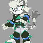 Photo by Stay Fresh! 🐾🍃 (Hiatus) (@FerretFresh)
