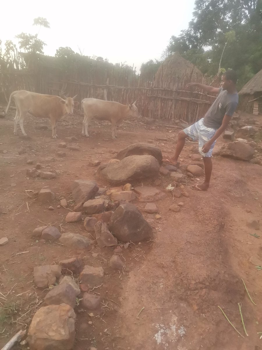 ibrahimbousra's tweet photo. 🇬🇳🇬🇳🇬🇳
#Guinee #Agriculture #Elevage #SareBousra #Niagantou #Diountou #ThiaguelBory #Lelouma #Souveraineté https://t.co/e1pEPDiKWX