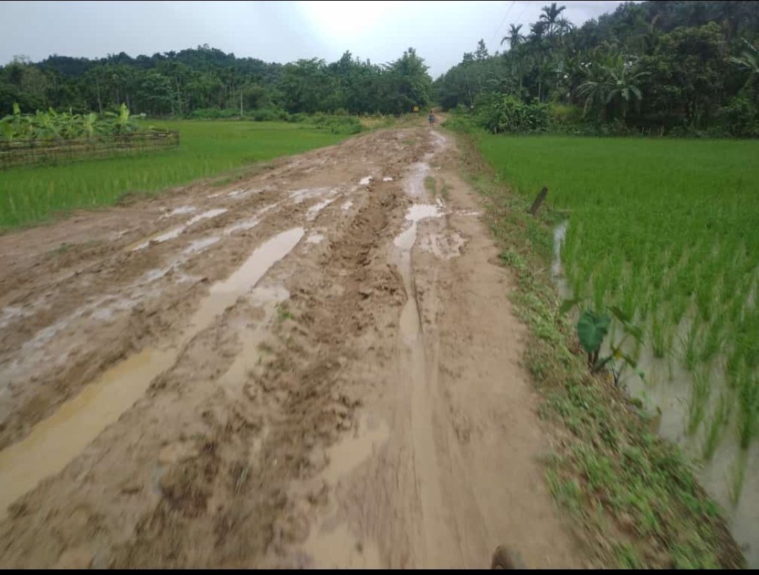 ajoylici's tweet photo. Untouched road till 2023 Chakrapani Boko road https://t.co/YU2L2rDIhr