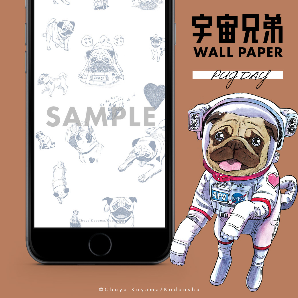 今日(8月9日)は、#パグの日 🐶  というわけで!LINEとメルマガで南波家の愛犬アポの壁紙をプレゼントします🐾  LINEは「パグの日2023」と送信/メルマガは8月13日(日)の配信分でそれぞれゲットしてください💙  LINE👇(左) https://lin.ee/KKI8z2e  メルマガ👇(右) 