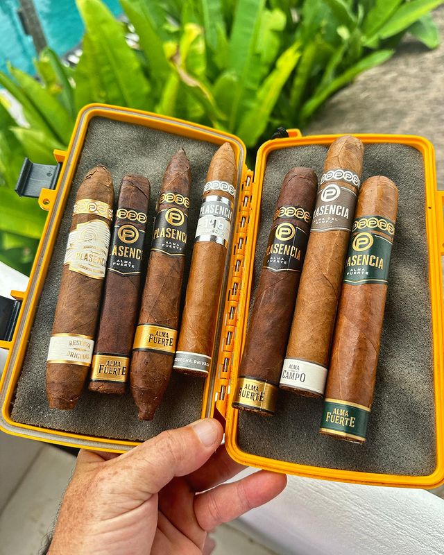 Plasencia Cigars tweet media
