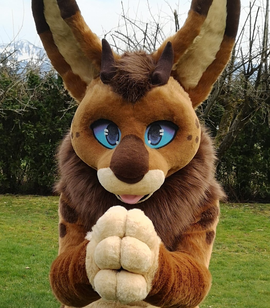ShagpokeStudios's tweet photo. ✨ Cadbury can be your angle or yuor devil ✨ 

🐰 @frostfireguard https://t.co/1RgGOTNTHQ