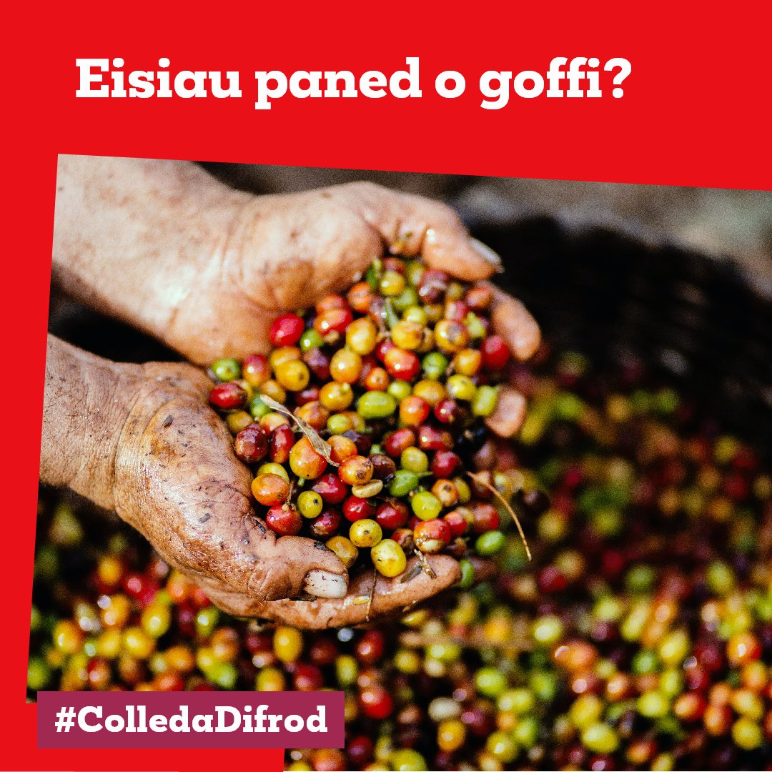 Fancy a coffee? Visit our stand in the Cytun tent at the #Eisteddfod to sample our partner coffees and find out how you can make a difference for communities experiencing the climate crisis. #Riseuppayup #blasucoffi