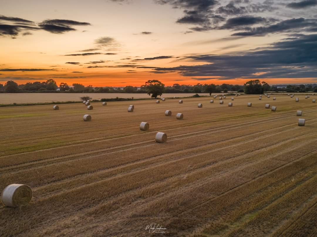 Golden light on golden fields.
#harvest23
#harvesttime
#sunset
#sunsetphotography
#norfolkcountryside