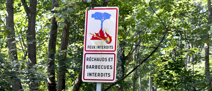 60millions's tweet photo. [🔥🌳 #Feuxdeforêt] Bricolage, débroussaillage, barbecue… Rappel de quelques règles de sécurité pour éviter les départs de #feu avec les #pompiers @SDIS17
👉 https://t.co/3yLBuqy9Iu

#MardiConseil #MétéoDesForêts  @meteofrance @PompiersFR @CelFusillier https://t.co/9jFkVXzXEa