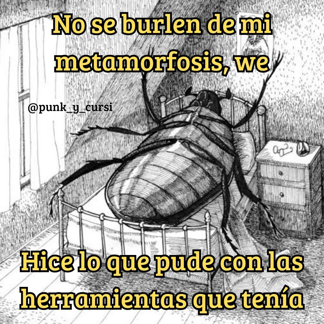 punk_y_cursi's tweet photo. 🐞 https://t.co/YIC8j5FrQw