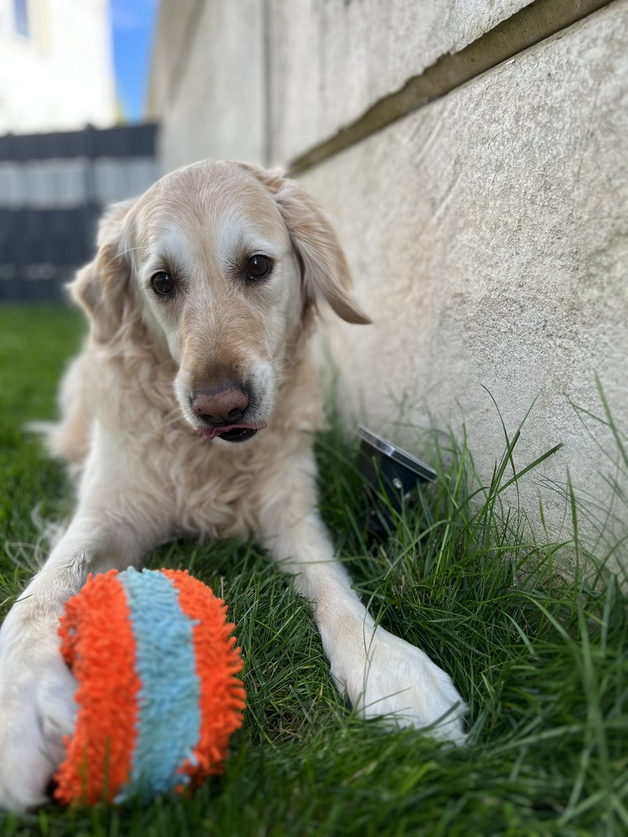 ArtbyRhoxy's tweet photo. TongueOutTuesday 🤭
#Tinke
#TheGoldenCookieHunters https://t.co/rmExTfHw2B