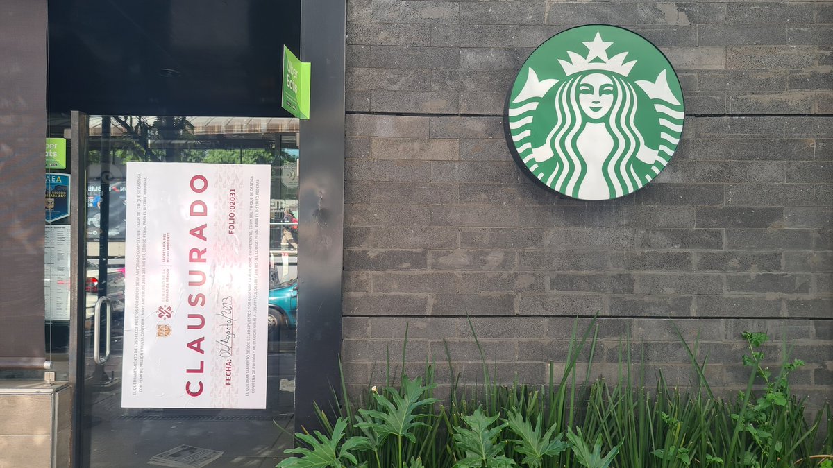 Moralon's tweet photo. Esto es algo q no ves todos los días. Que pas @StarbucksMex sucursal metrobus doctor Gálvez https://t.co/70wvSHnhH4