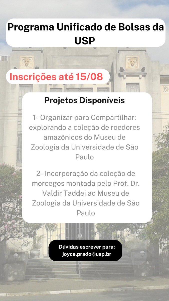 Joyce Prado 🐭 (@joycepra_) on Twitter photo Temos 3 bolsas disponíveis para alunos da <a href="/usponline/">USP - Universidade de São Paulo</a> para trabalhar nesses 2 projetos na mastozoologia do <a href="/mzusp/">Museu Zoologia USP</a>. Temos 3 bolsas disponíveis para alunos da <a href="/usponline/">USP - Universidade de São Paulo</a> para trabalhar nesses 2 projetos na mastozoologia do <a href="/mzusp/">Museu Zoologia USP</a>.