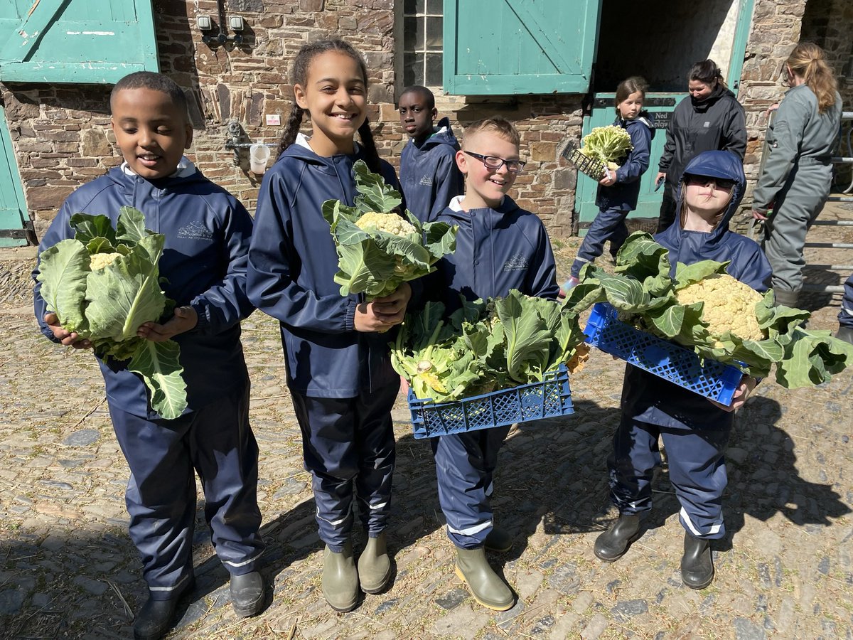 Donna Marie Edmonds FRSA (she/her) tweet media