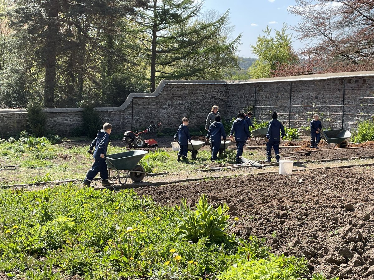 Donna Marie Edmonds FRSA (she/her) tweet media