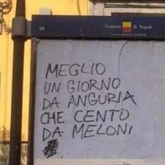 Blob tweet media