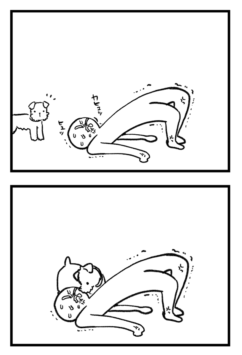 筋トレと犬2 