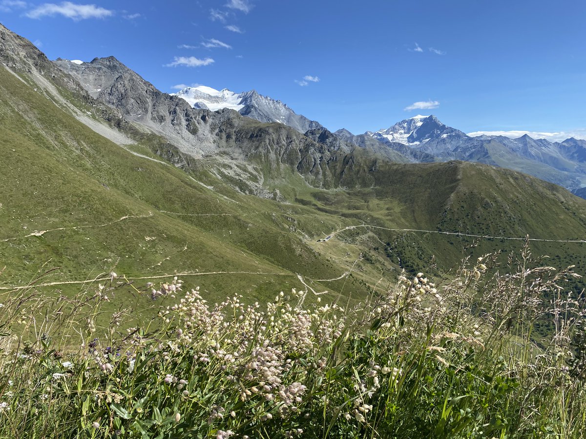 Massan84901559's tweet photo. 2023.08.08 Tus #HauteRoute 3日目 #Champex から #Cabane du #ColdeMille を目指しました。#Orsieres までの下りはバスで下り、そこからは #MontBrule まで絶え間なく登りです。ミレ峠小屋からは東に #GrandCombin が良く見え、西に #MontBlanc 山群がよく見え #Beer が格別です🍺 https://t.co/VdwmLoDHCA