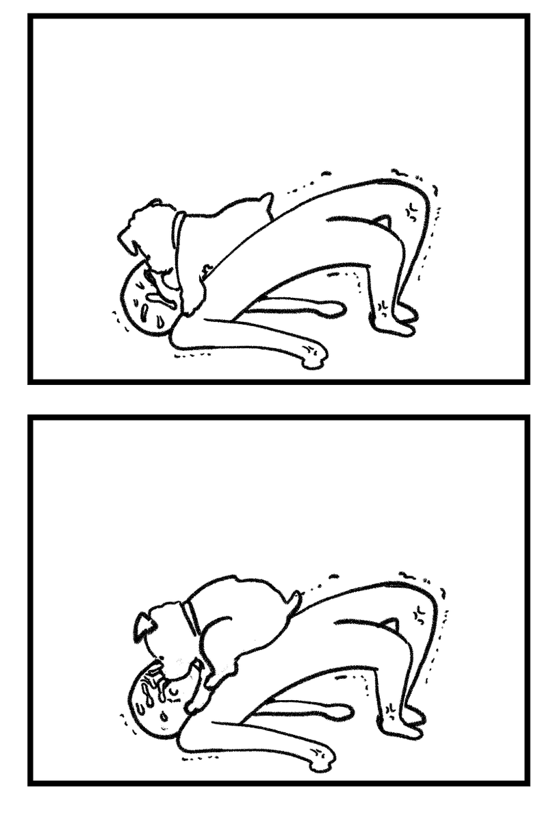 筋トレと犬2 