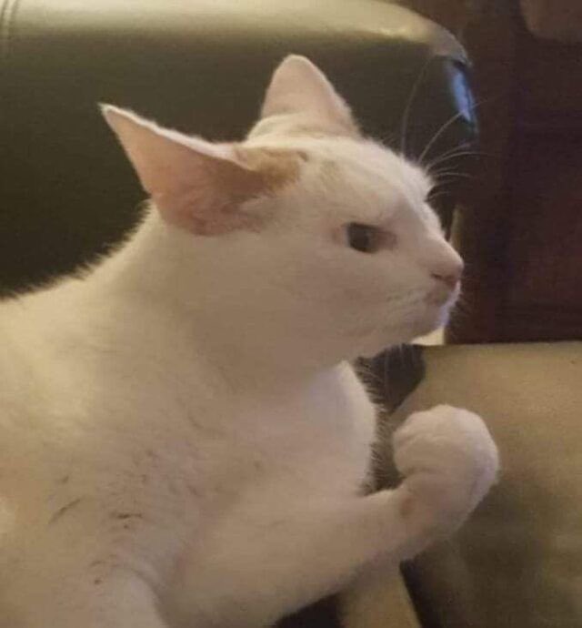 schnapoop's tweet image. Rony with anyone else:        Rony with salma :
#salmarony #SalmaSalsabil #RonyParulian