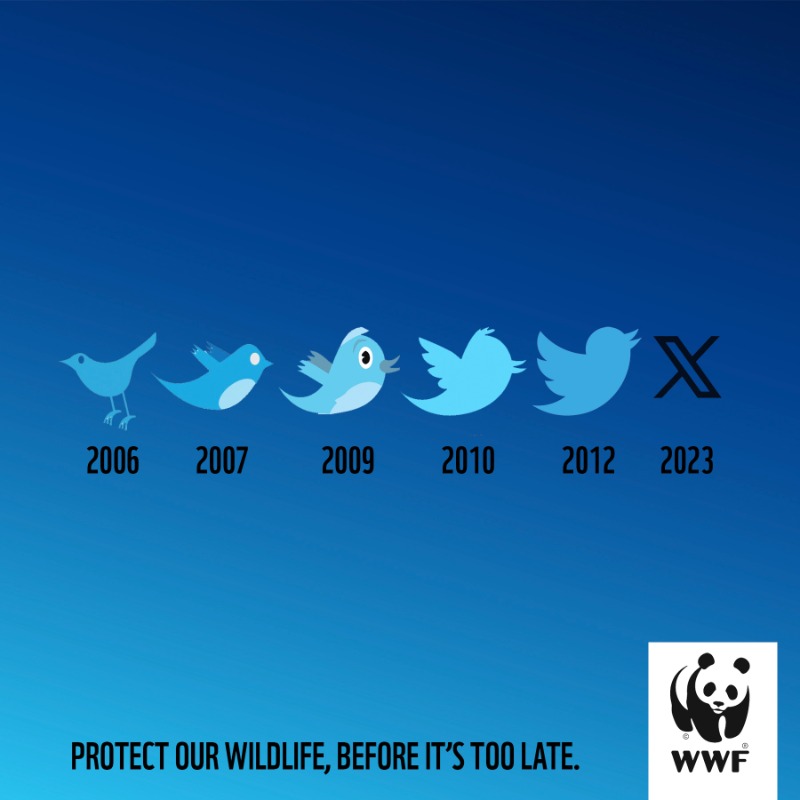 wwf_uk's tweet photo. Twitter's iconic bird isn't the only one disappearing. 38 million birds have vanished from UK skies in the last 50 years. But there is hope. Support WWF today and together we can bring our world back to life.