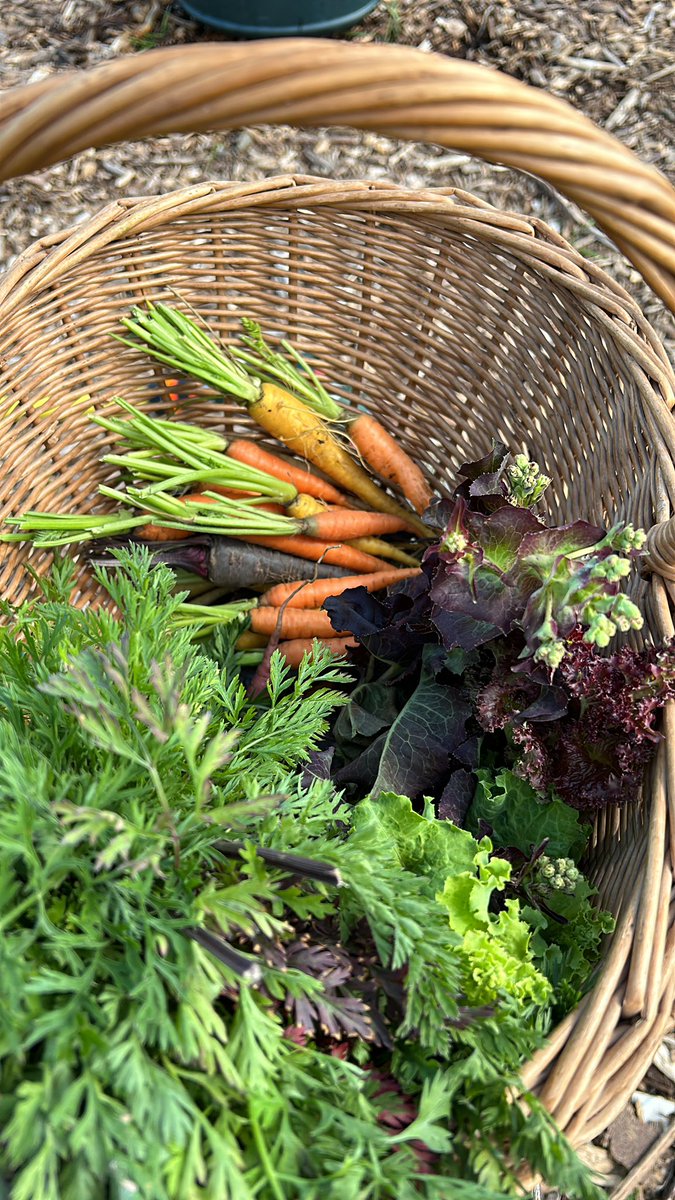 VegTrug Limited tweet media