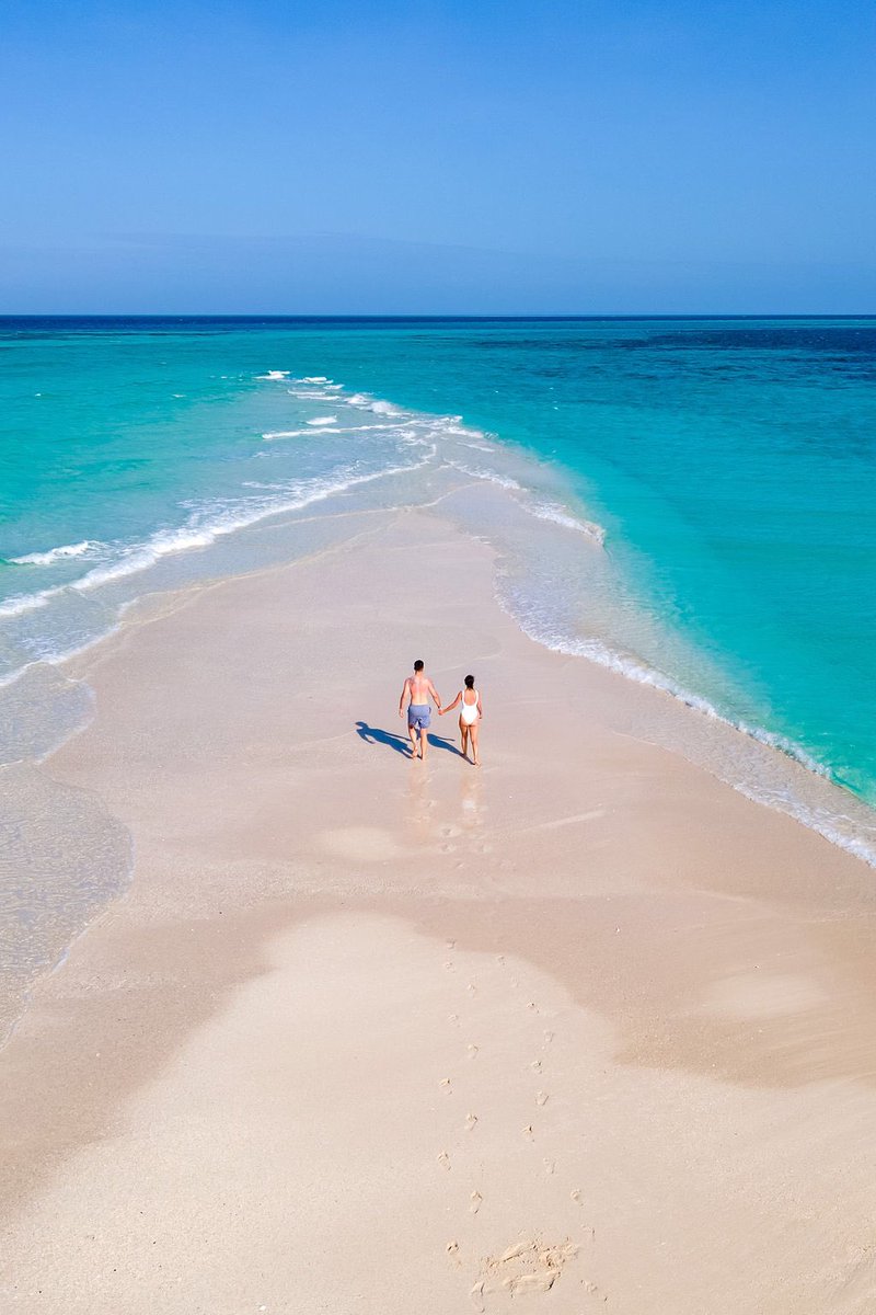 SafariGateway_'s tweet photo. Umeshawahi kwenda vacation na mpenzi wako na kuenjoy moments au kikubwa mnapumua?๐
High season ndio hii unashindwaje kufika Zanzibar? Fanya booking kupitia https://t.co/YDXcBNfbcw au piga +255 777 232 747 bei ni za kizalendo kabisa๐
#VisitZanzibar #VisitWithUs https://t.co/UNJWDWe7I4